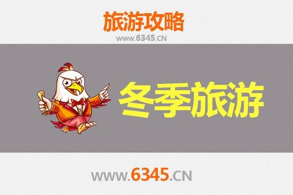 南宁宾阳冬季旅游全攻略：炮龙文化与温泉之旅